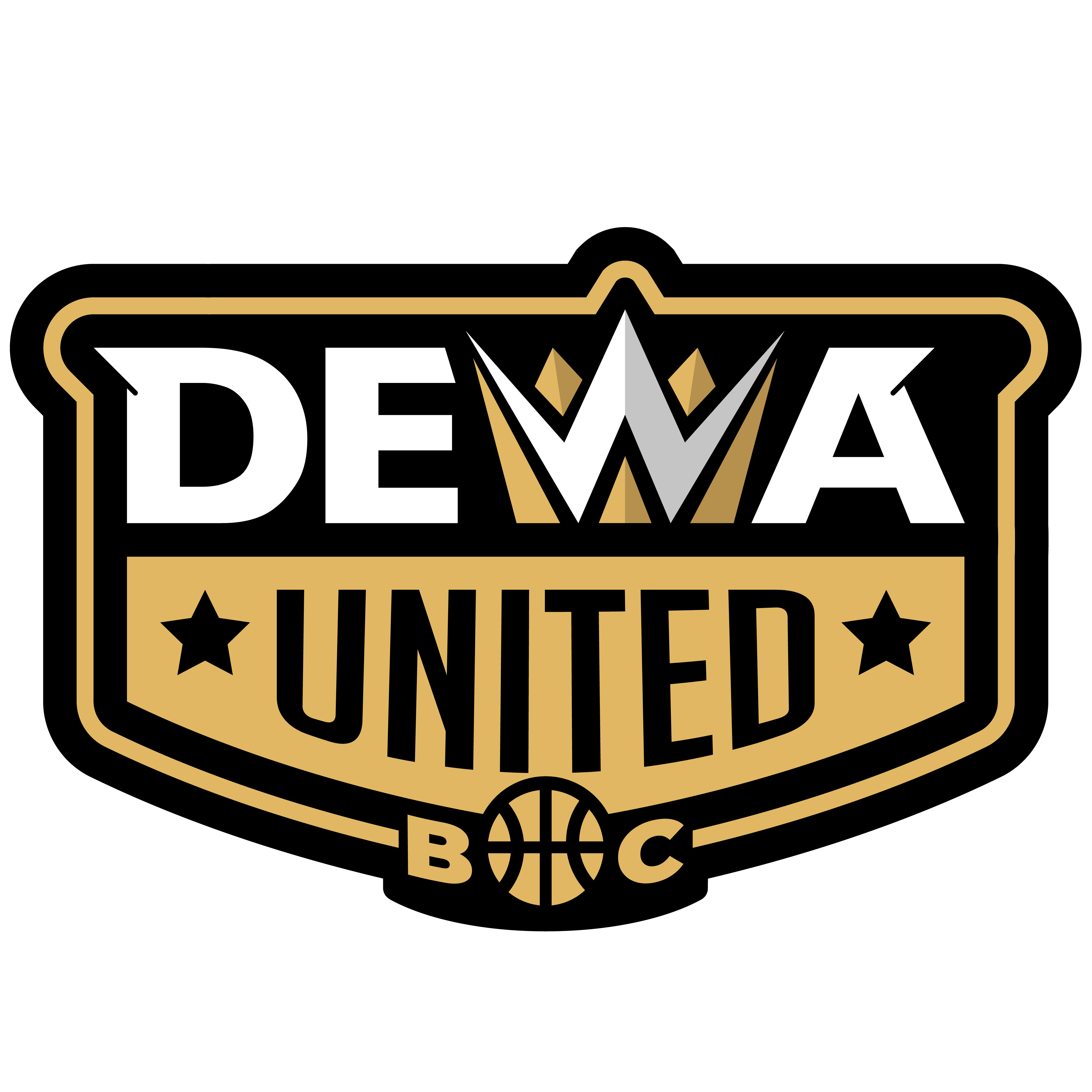 Dewa United